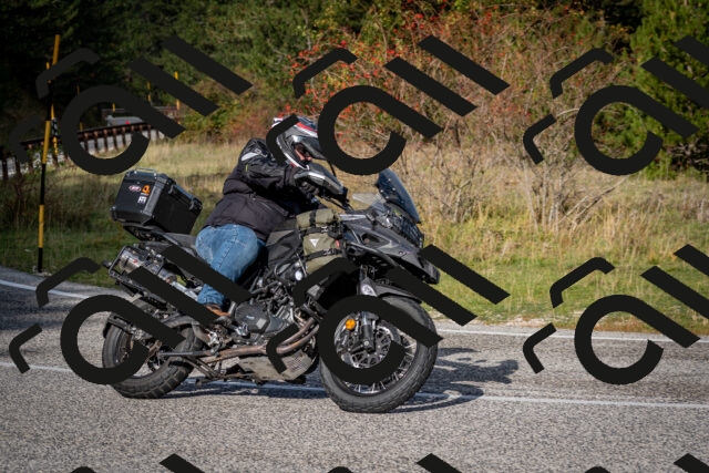 202510191046-DSC_8685_c2