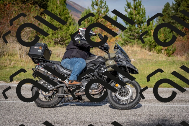 202510191046-DSC_8686_c2