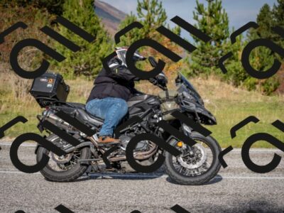 202510191046-DSC_8686_c2