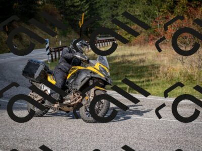 202510191046-DSC_8687_c2