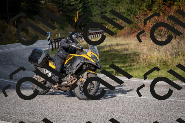 202510191046-DSC_8687_c2