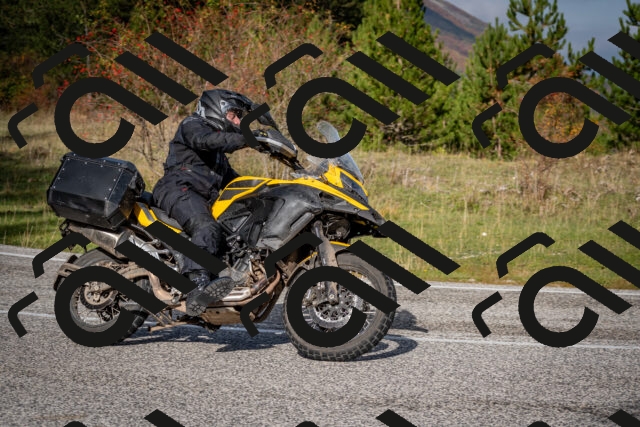 202510191046-DSC_8688_c2