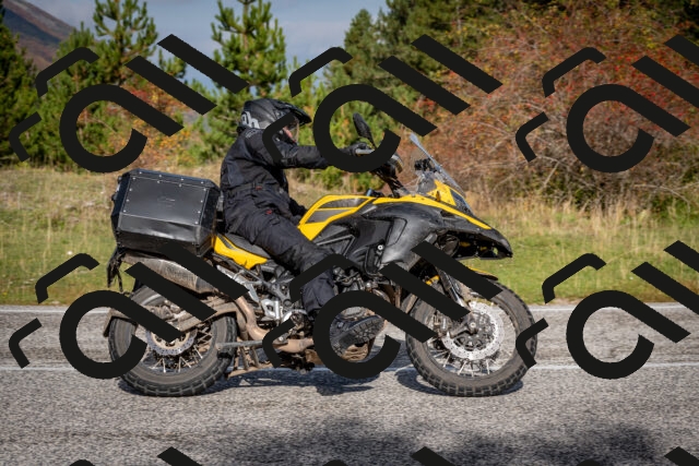 202510191046-DSC_8689_c2