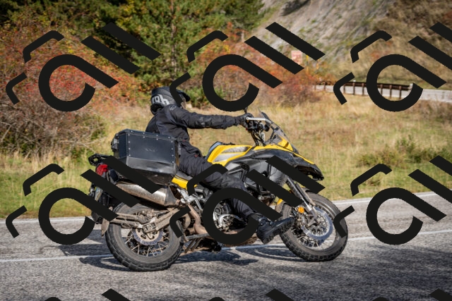 202510191046-DSC_8690_c2