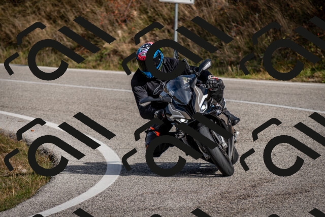 202510191047-DSC_8691_c2