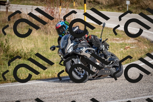 202510191047-DSC_8692_c2