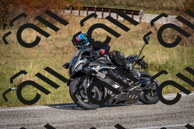 202510191047-DSC_8693_c2