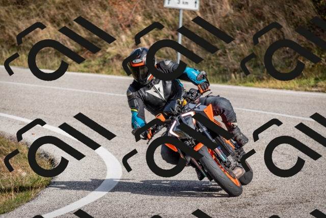 202510191048-DSC_8695_c2