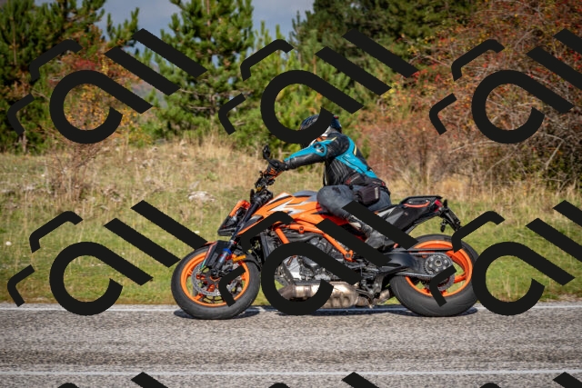 202510191048-DSC_8697_c2