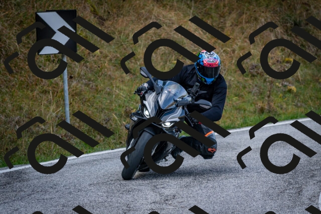 202510191048-DSC_8698_c2