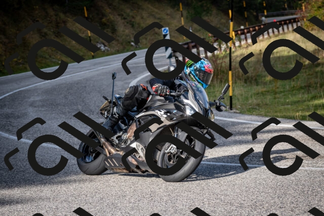 202510191048-DSC_8699_c2