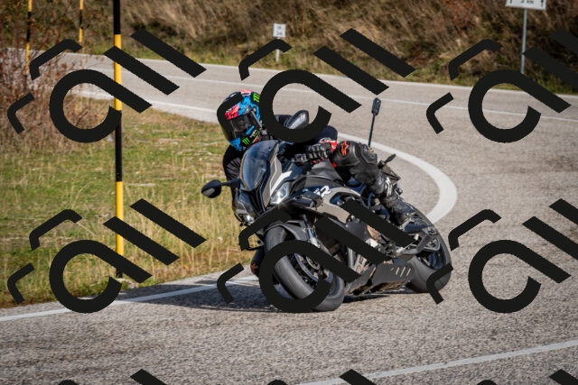 202510191049-DSC_8702_c2