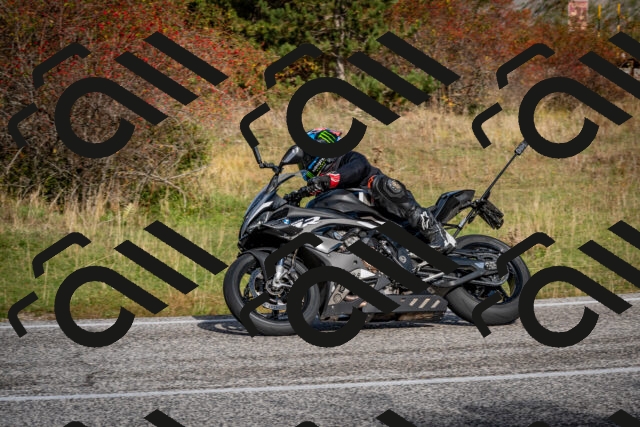 202510191049-DSC_8703_c2