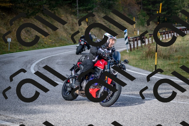 202510191049-DSC_8704_c2