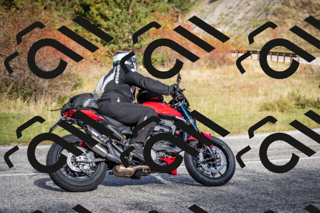 202510191049-DSC_8706_c2