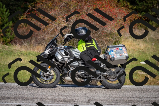 202510191049-DSC_8711_c2