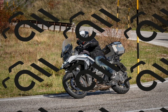 202510191050-DSC_8714_c2