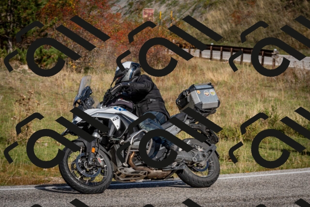 202510191050-DSC_8715_c2