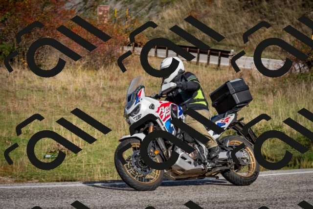 202510191050-DSC_8717_c2