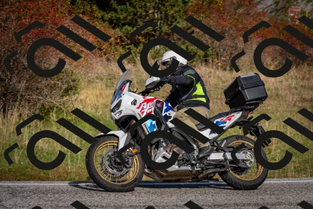 202510191050-DSC_8718_c2