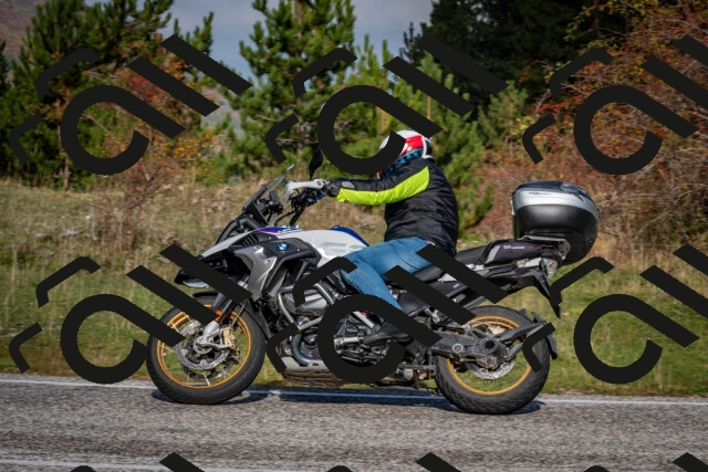 202510191050-DSC_8721_c2