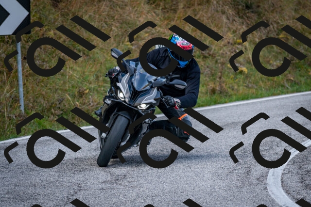 202510191050-DSC_8722_c2