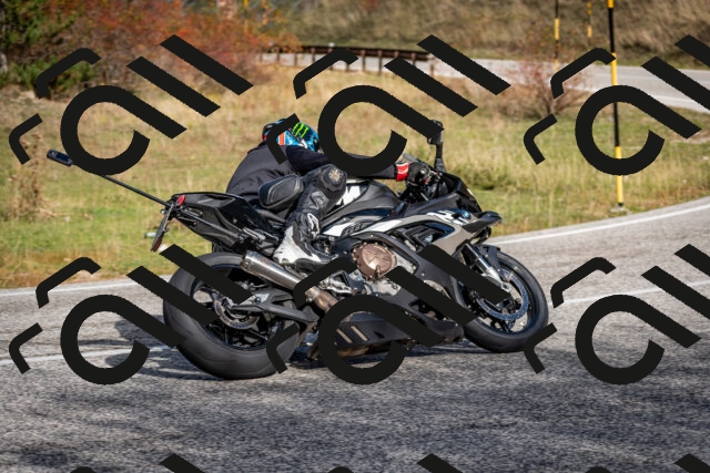 202510191050-DSC_8725_c2