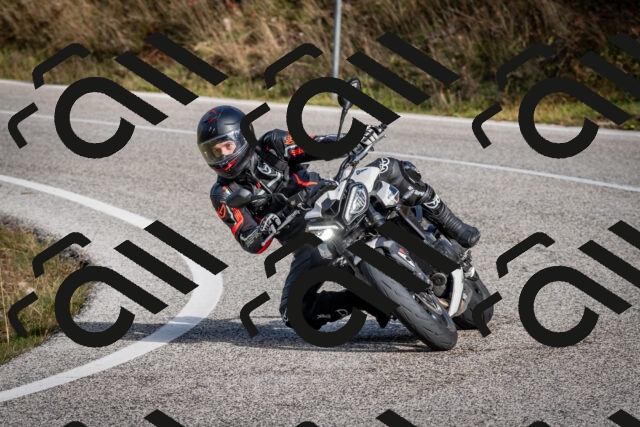 202510191051-DSC_8728_c2