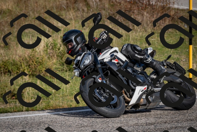 202510191051-DSC_8729_c2