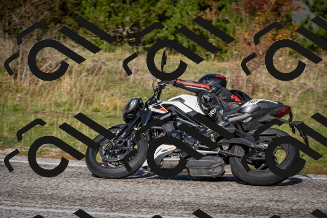 202510191051-DSC_8730_c2