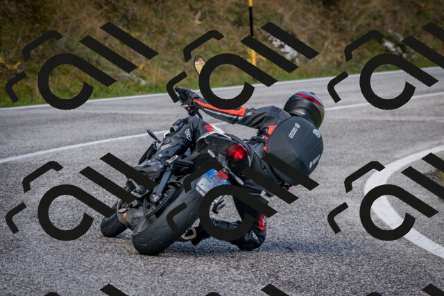 202510191051-DSC_8731_c2