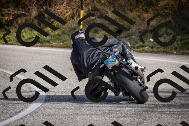 202510191051-DSC_8732_c2