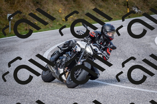 202510191051-DSC_8734_c2