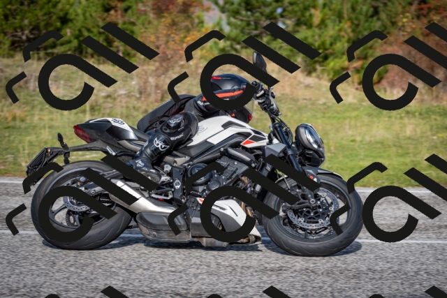 202510191051-DSC_8735_c2