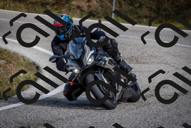 202510191052-DSC_8737_c2