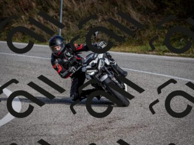 202510191052-DSC_8738_c2