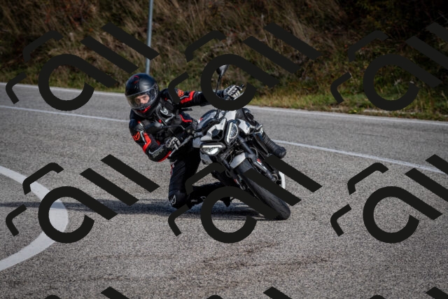 202510191052-DSC_8738_c2