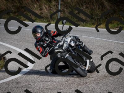 202510191052-DSC_8739_c2