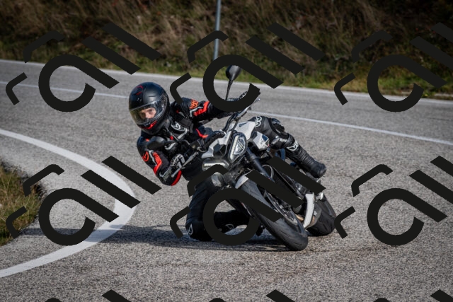 202510191052-DSC_8739_c2