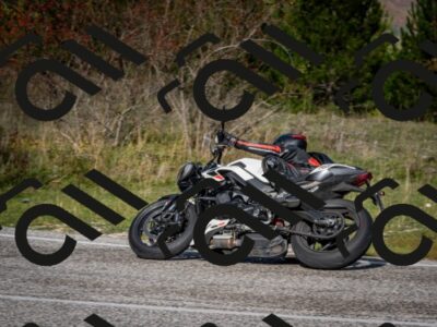 202510191052-DSC_8741_c2