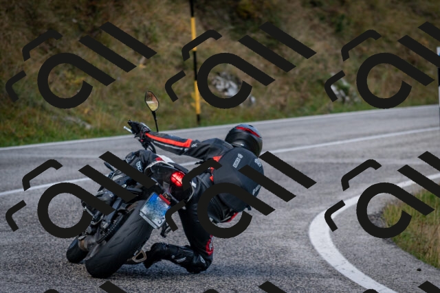 202510191052-DSC_8742_c2