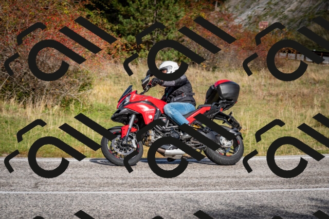 202510191052-DSC_8745_c2