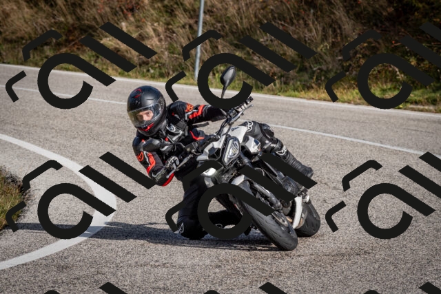 202510191053-DSC_8752_c2