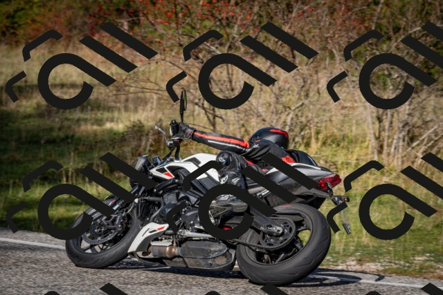 202510191053-DSC_8753_c2