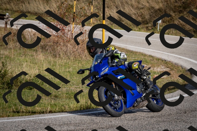 202510191054-DSC_8754_c2