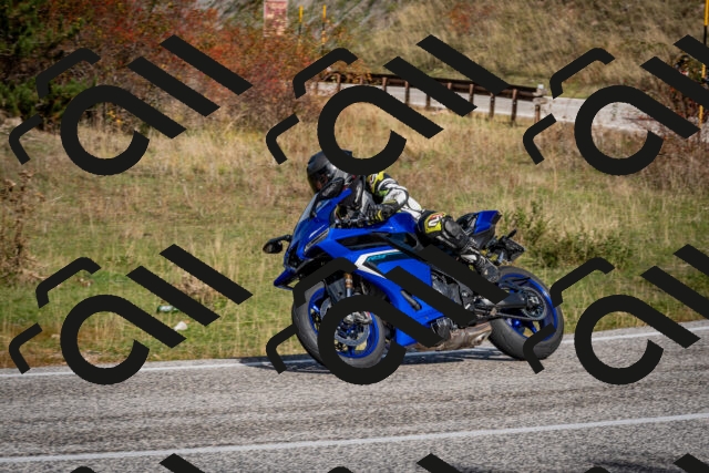 202510191054-DSC_8755_c2