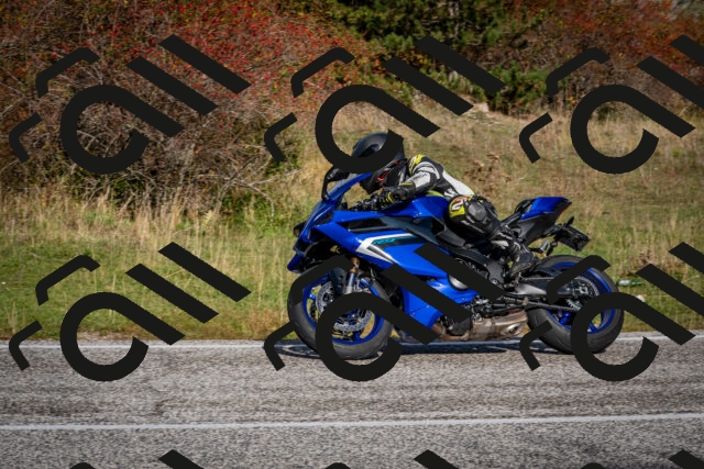 202510191054-DSC_8756_c2