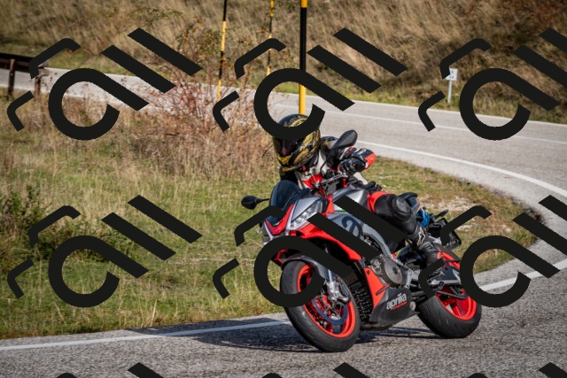 202510191054-DSC_8759_c2