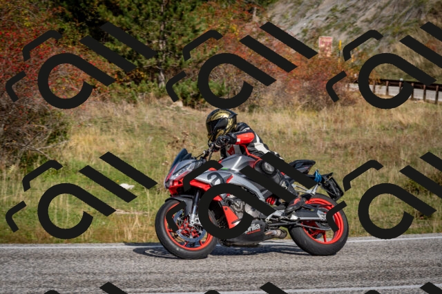 202510191054-DSC_8760_c2