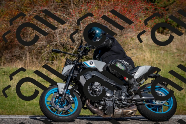 202510191055-DSC_8768_c2